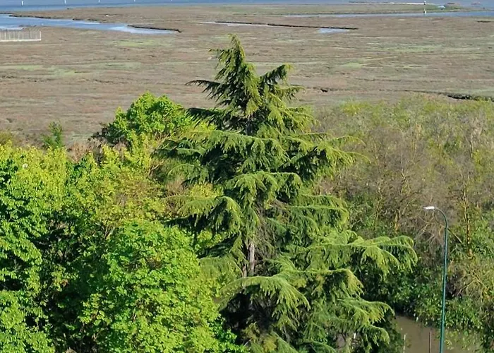 #punto Fm 5# Guest house *